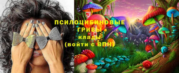 мет Богородицк