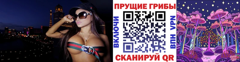 где продают наркотики  darknet клад  Галлюциногенные грибы мицелий  Клинцы 